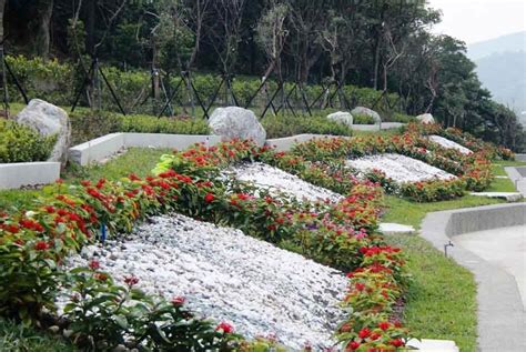 壁葬是什麼|什麼是多元環保葬－植葬、海葬、花葬、灑葬｜楊子佛 